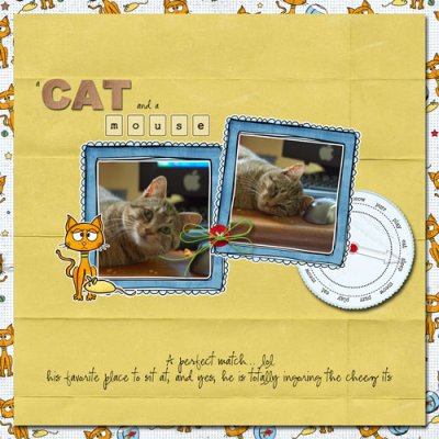 A Cat & A Mouse