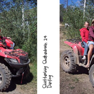 Shutterbug #24