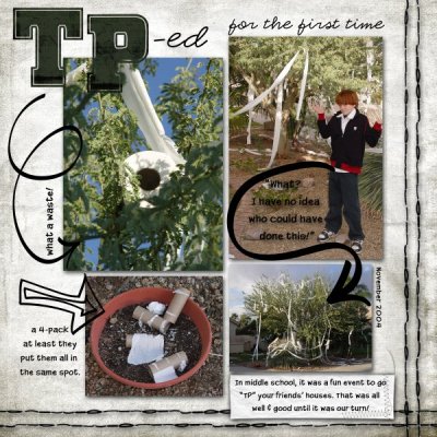 TP-ed