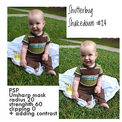 Shutterbug Shakedown #24