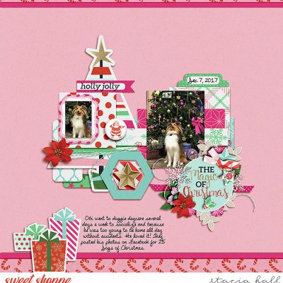 Obi Xmas 2017
