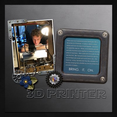3D Printer