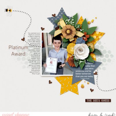 Platinum Award