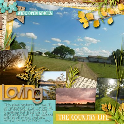 Loving the country life #1