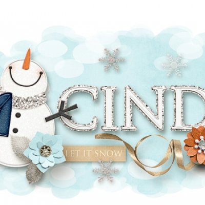 Winter Siggy