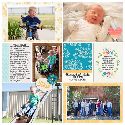 Project 2018- Week 25 (left)