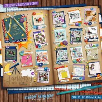 Finished January 2019 Passport