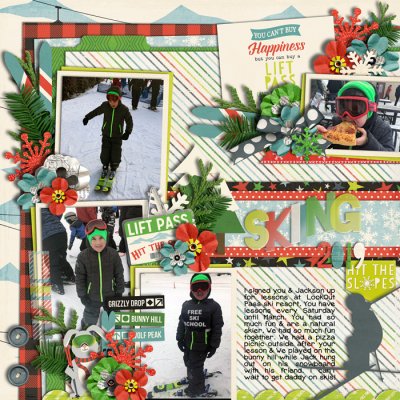 skiing2019web