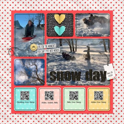Snow Day Sledding L