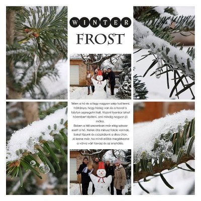 Winter frost