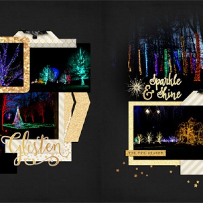 Tree Lights at Longwood Gardens