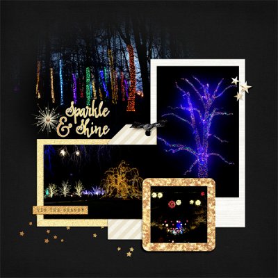 Tree Lights at Longwood Gardens, right