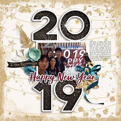 happy new year 2019