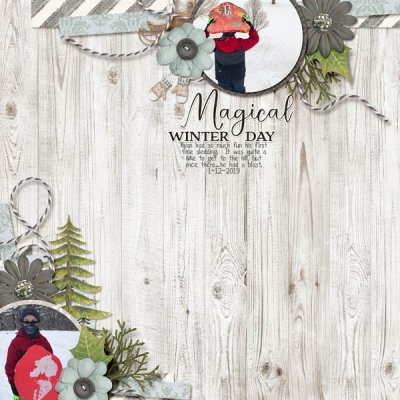 Winter Day