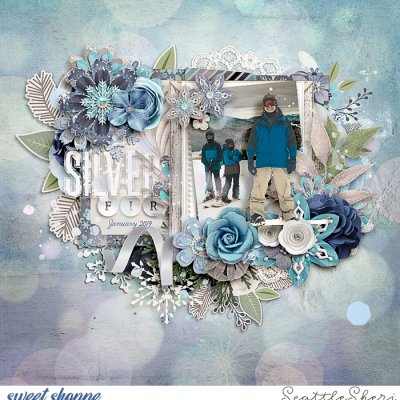 Silver Fir