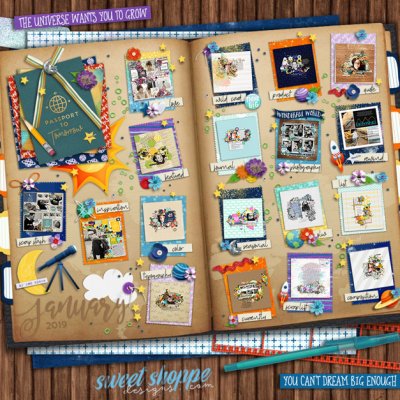 january 2019 - passport to tomorrow