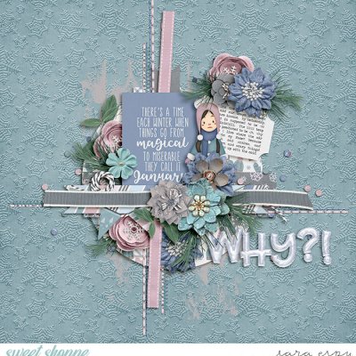 why-wm1