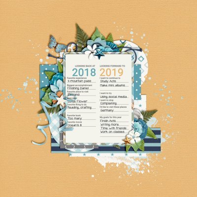 2018-2019
