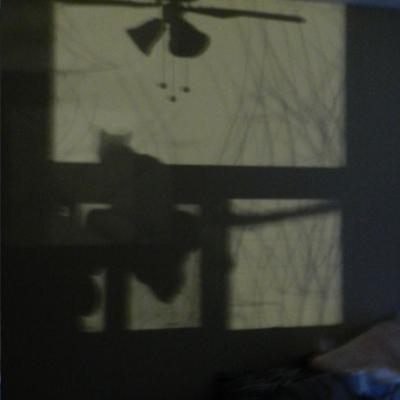 SSD 13th Bday - Day 3 - Shadow Photo