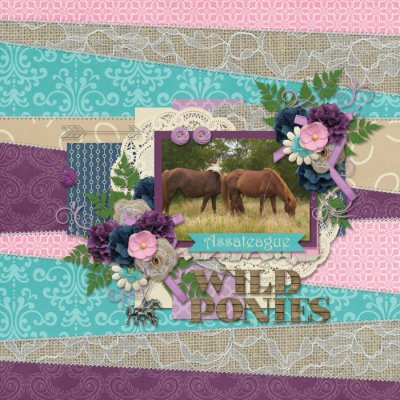 Wild Ponies