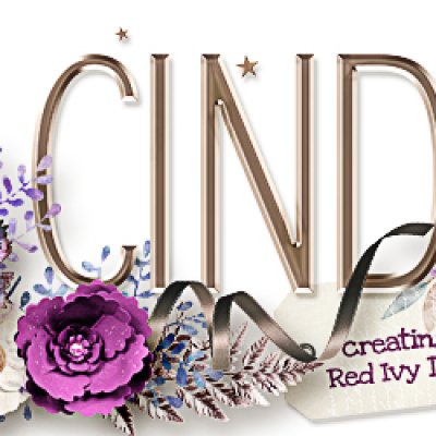 Feb Siggy 2019