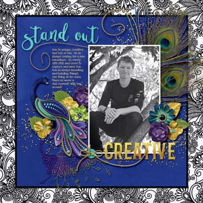 Feb Passport #11 Wild Card
