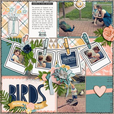 Birds