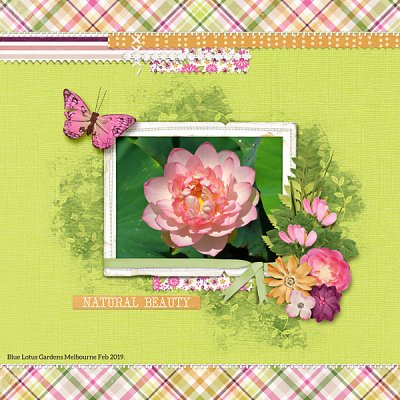 Sweet Shoppe 13th birthday Feb 20 Digital Scrap Ingredients