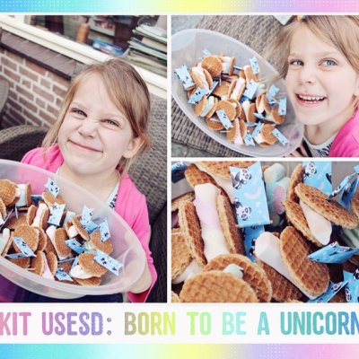 Pandicorn flags - school treats