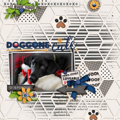 Dog- gone Cute