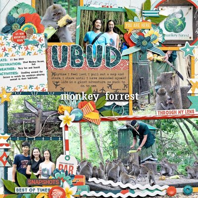 ubud monkey forrest
