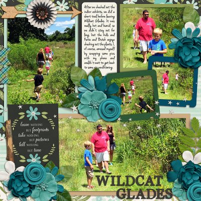 Wildcat Glades