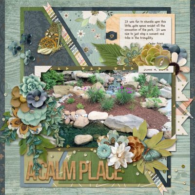 A Calm Place