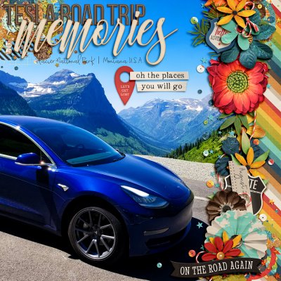 Tesla Road Trip Memories