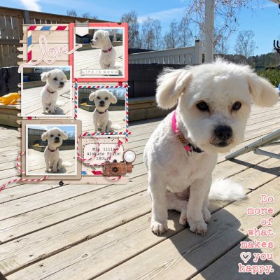 Makes me happy