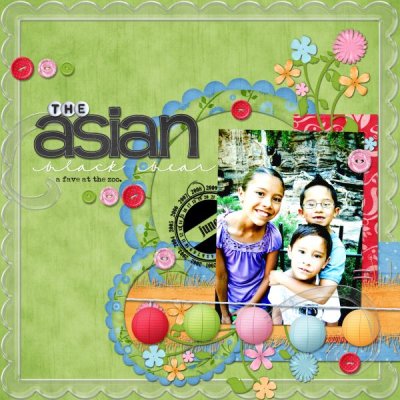 The Asian Black Bear