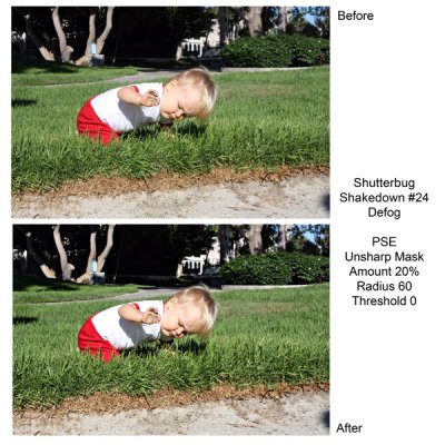 Shutterbug Shakedown 24