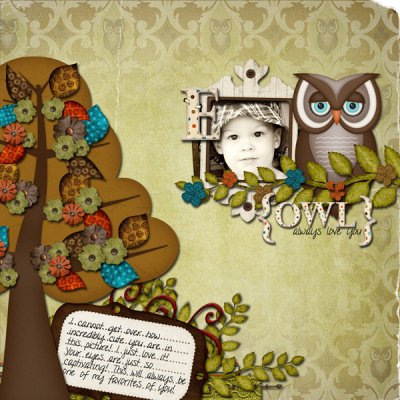 Owl Always Love You