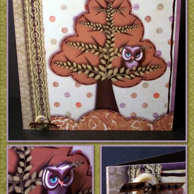 {Hybrid Card} Owl