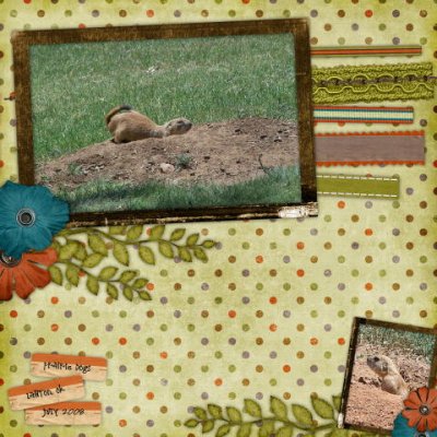 Prairie Dogs