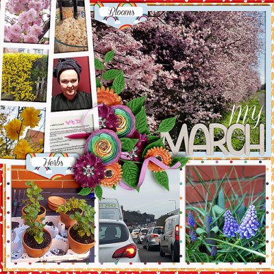 My March