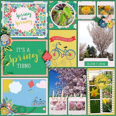 Spring Thing