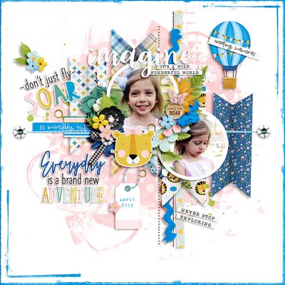 -Don't Just Fly- Soar