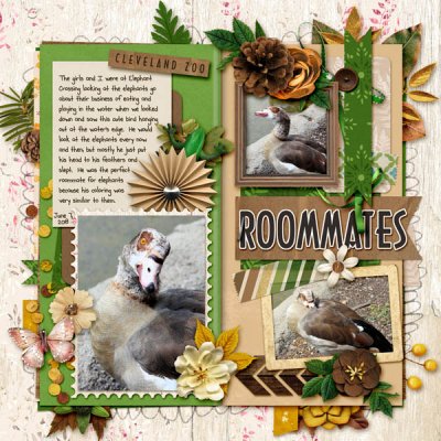 Roommates