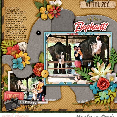 oh dear elephant!