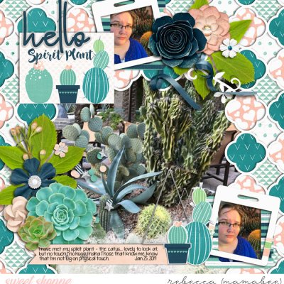 My Spirit Plant