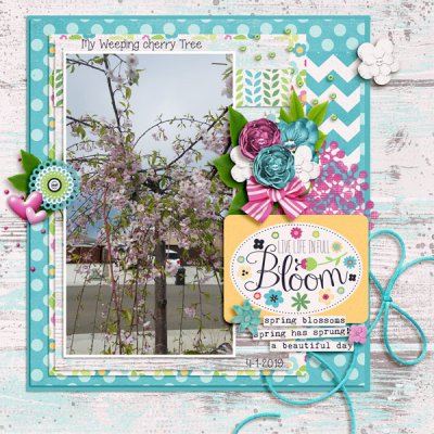 2019_4 passport #9 seasonal