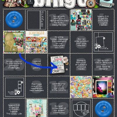iNSD Bingo any line