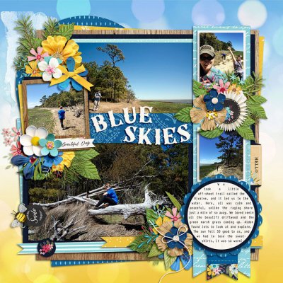Blue Skies