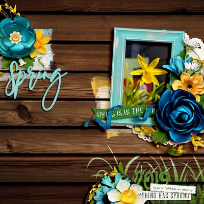 Spring